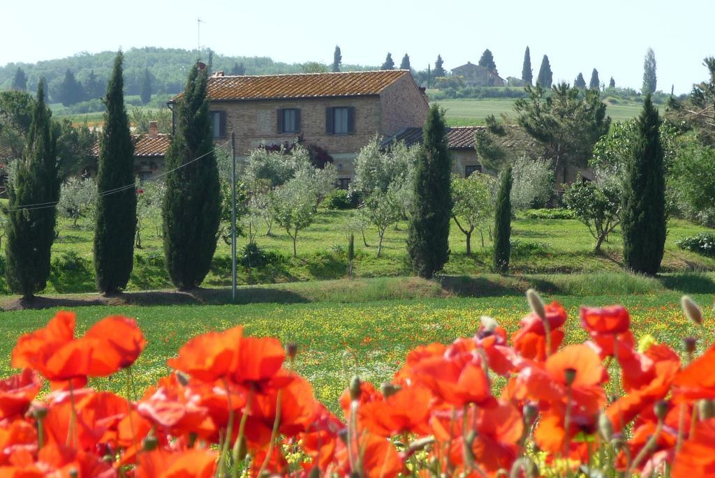 Agriturismo Santa Maria Pienza Exterior foto