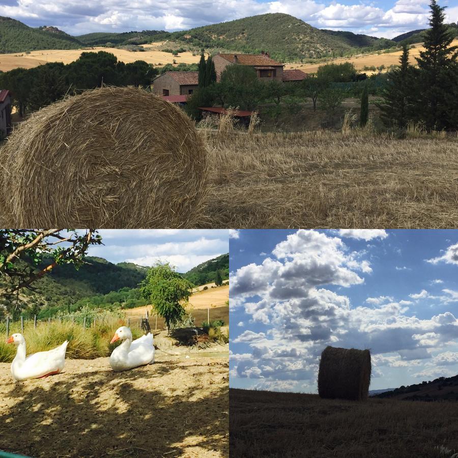 Agriturismo Santa Maria Pienza Exterior foto